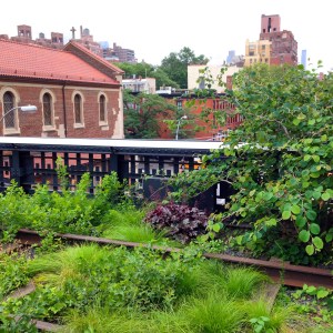 The High Line/Chelsea Pier