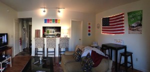 Our beautiful living room!