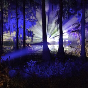 The music festival we were at before the car accident had an electric forest! It may have been one of the most magical sights ever!