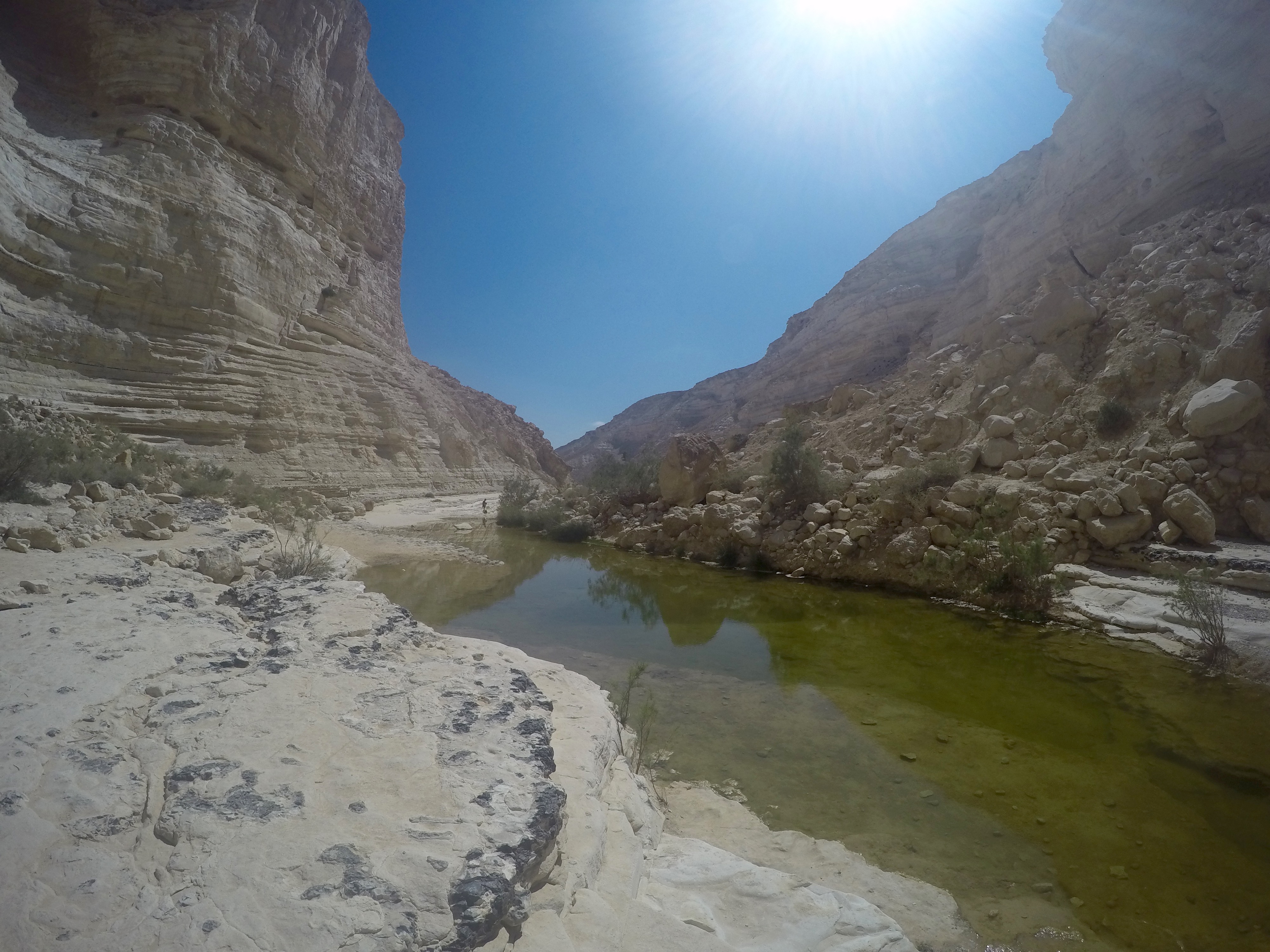 DCIM100GOPROGOPR3504.