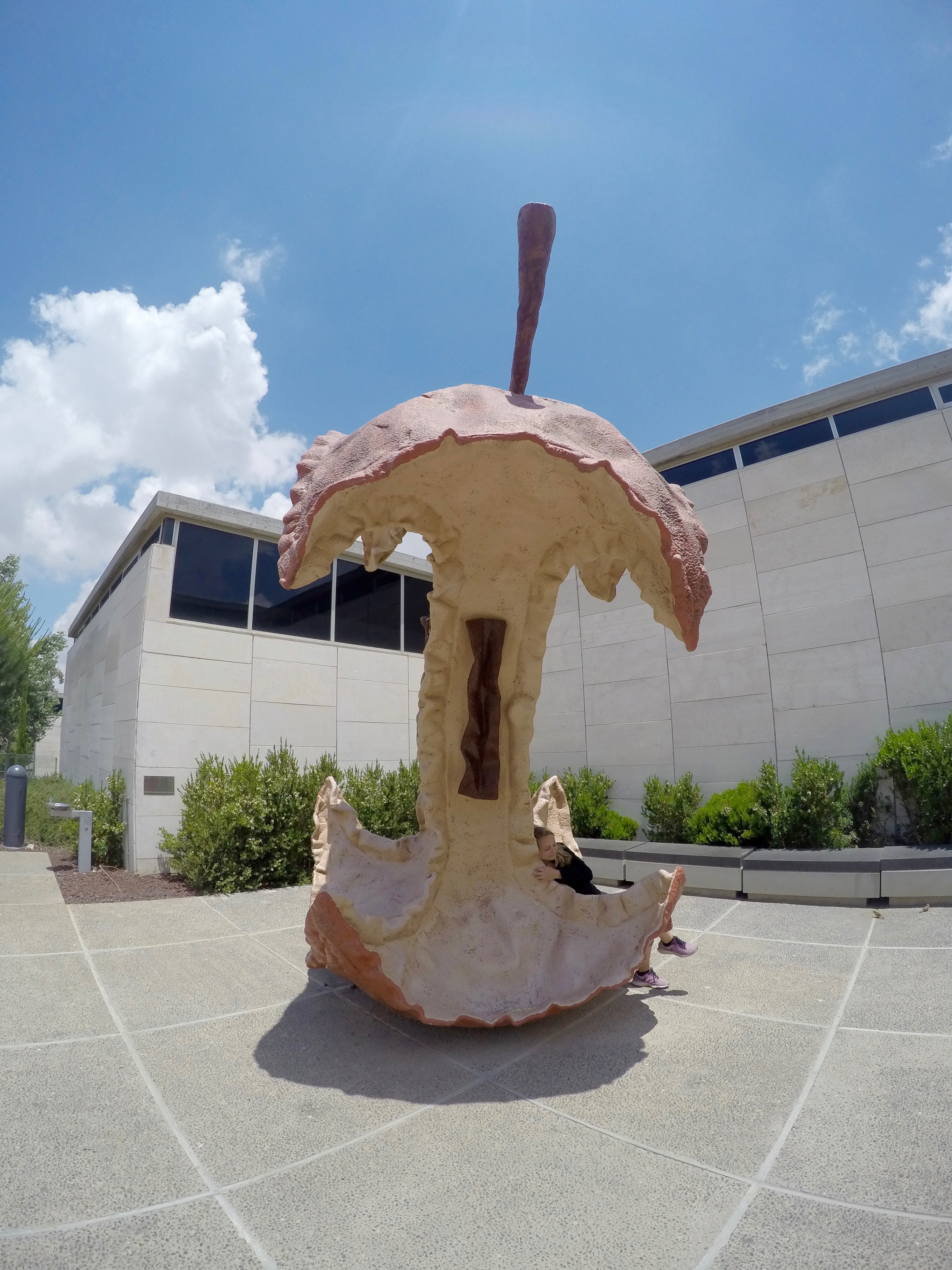 DCIM100GOPROGOPR3619.