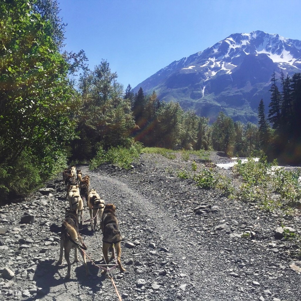 I Did Not See Russia From My&nbsp;Window