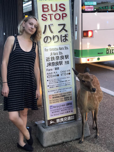 Kyoto, Nara, and Osaka…oh&nbsp;deer!