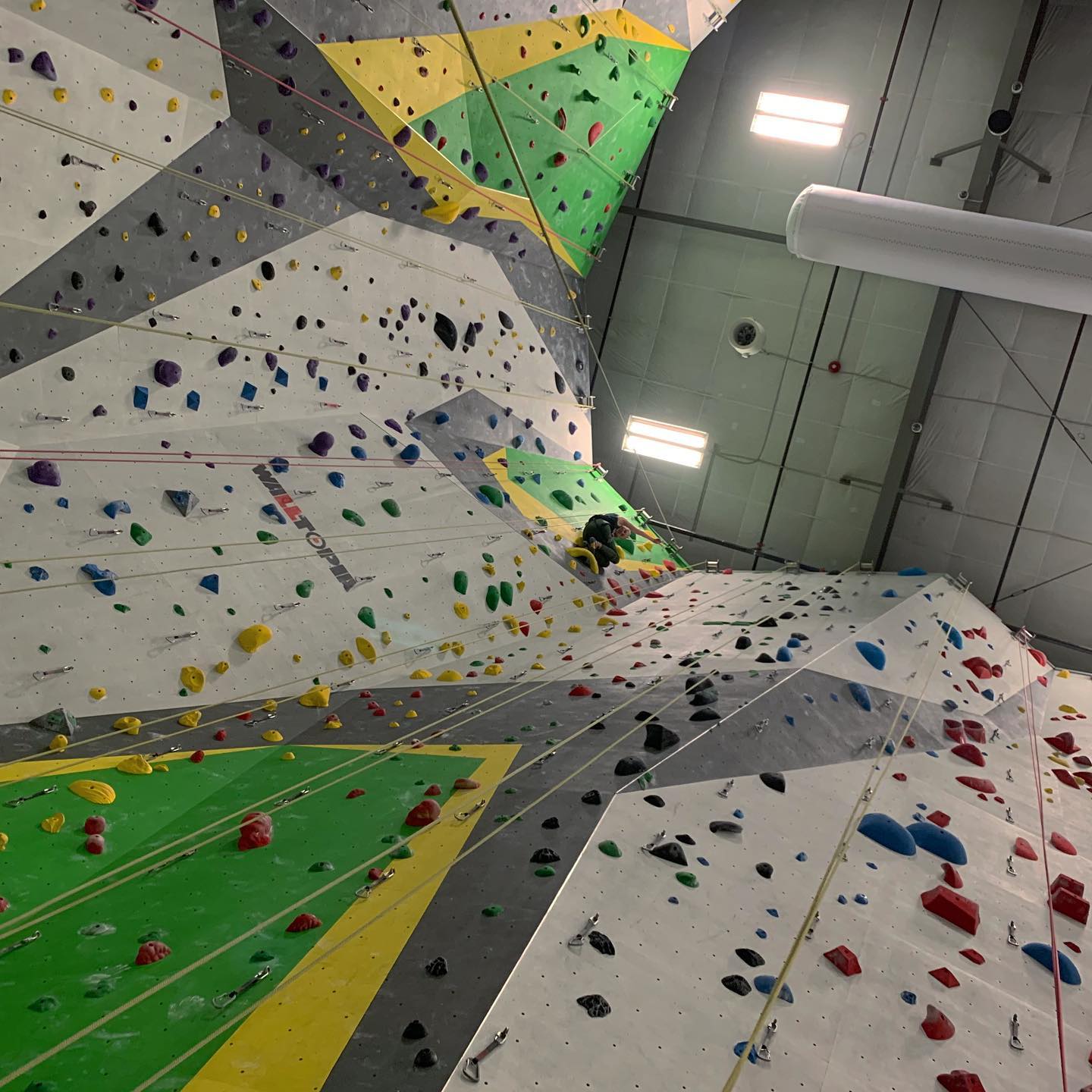 88034523_10158062701733808_2668607109653856256_o